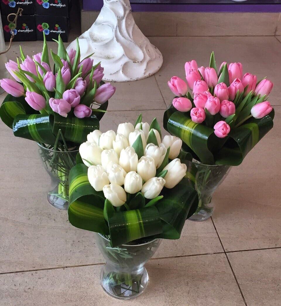 Flower 400 Dhs Aster Flower Al Wasel 0508680753 Shopping Mydubai Knock Oncoti Dubaishopping Aster Flower Flowers Dubai Shopping