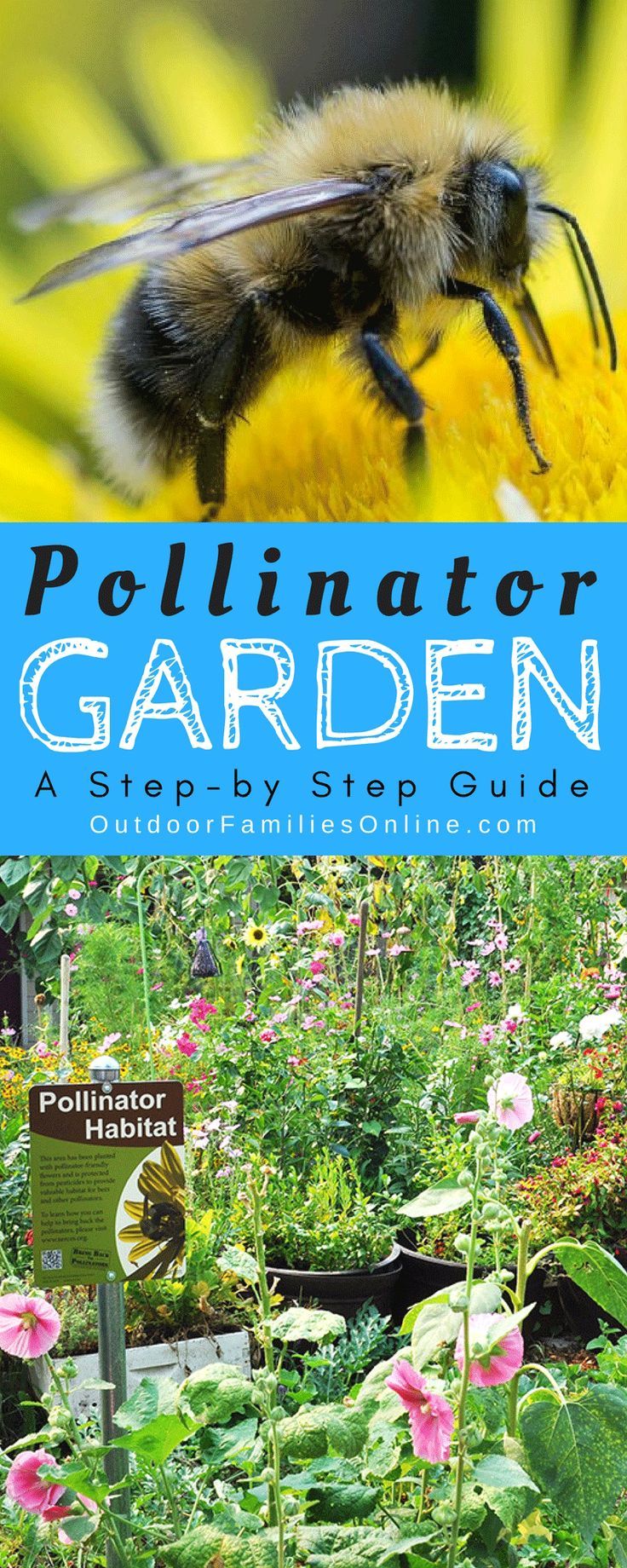 HOWTO >>> Pollinator Garden! Organic Gardening, Gardening Tips