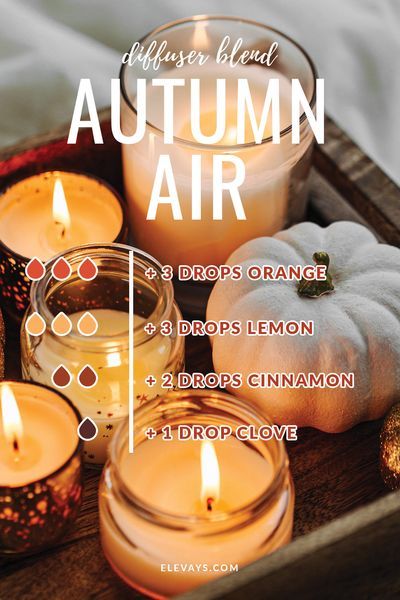 Fall Essential Oils, Best Essential Oil Diffuser, Diy Essential Oil Recipes, Diy Diffuser Oil, Best Smelling Essential Oils, Best Diffuser, Vanilla Essential Oil, Essential Oil Candles, Aroma Diffuser