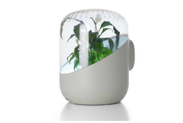 本物の生きた観葉植物を使った空気清浄機 Andrea 空気清浄機 観葉植物 クールなアイデア 本物の生きた観葉植物を使った空気清浄機 Andrea 空気清浄機 観葉植物 クールなアイデア