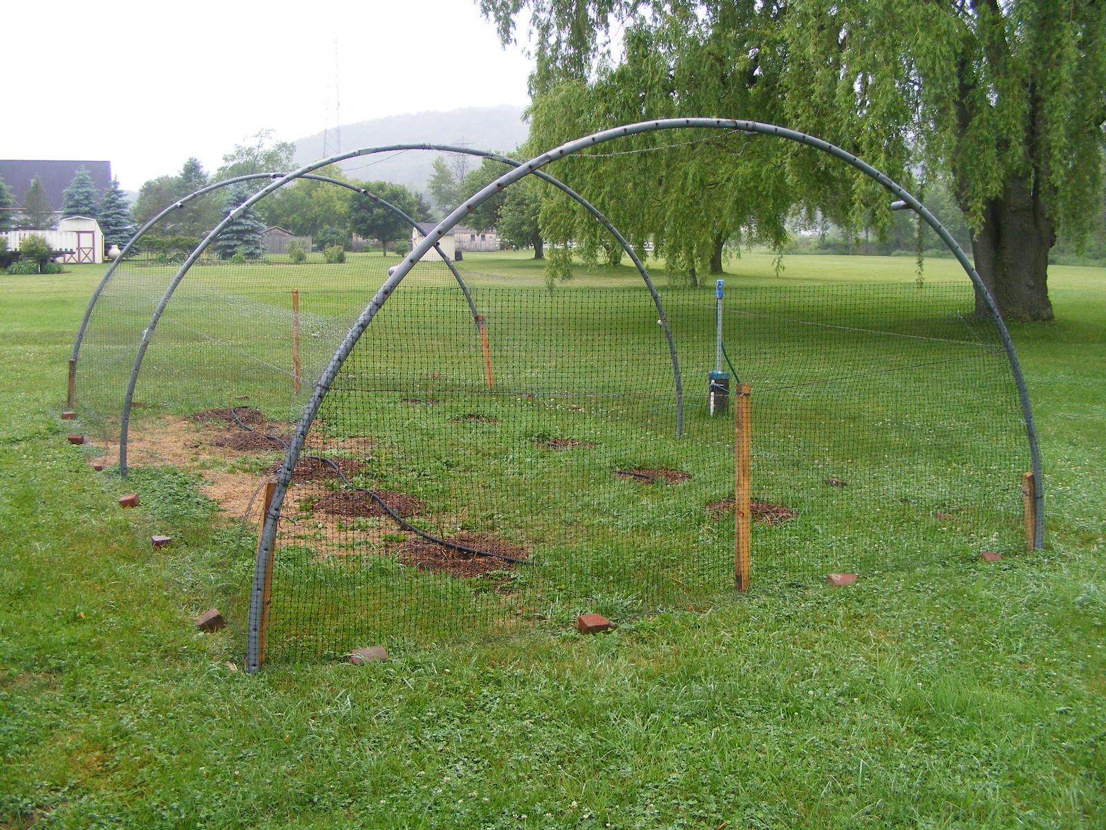 They Use Old Trampoline Frames And Netting To Keep Animals From