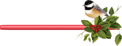 أجمل وأرق وأنعم ردود على المواضيع Plants