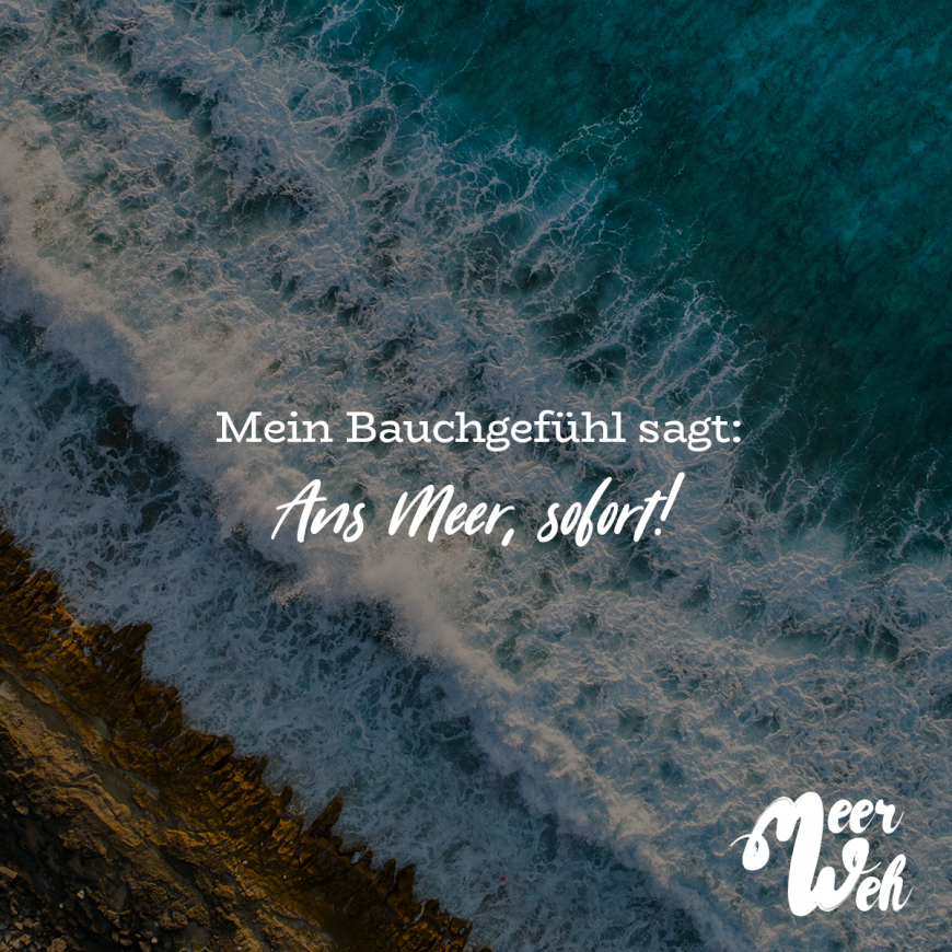 Visual Statements Mein Bauchgefühl Sagt Ans Meer Sofort