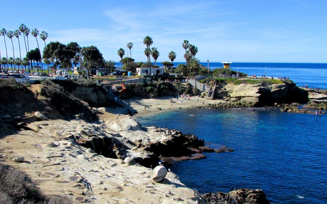 8 Things You May Not Know About La Jolla Cove Beachs Rivers 8 Things You May Not Know About La Jolla Cove