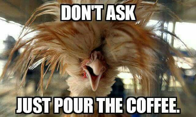 Pin By Rhonda Bradshaw On Crazy Animals Tuesday Humor Humor Animal
