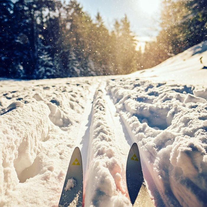 Top-Notch Trails for Cross-Country Skiing in Pure Michigan