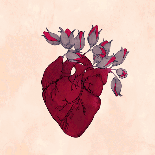 fotos de corazonez