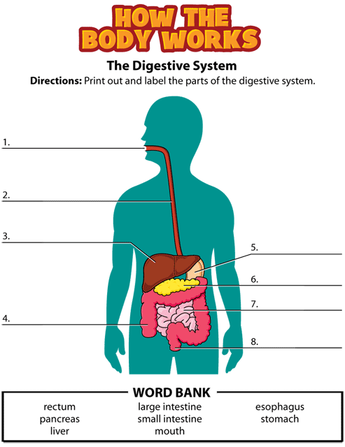 fodmap ksiazka pdf dietro