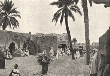 Algeria Biskra Oasis De Sidi Okba Antique Print 1895 In Cheap