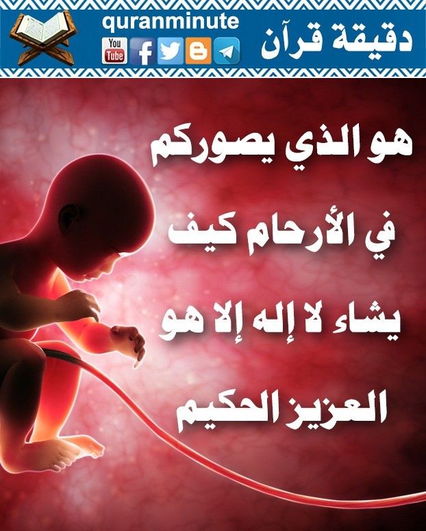 هو الذي يصوركم في الأرحام كيف يشاء هو الذي يصوركم في الأرحام كيف يشاء