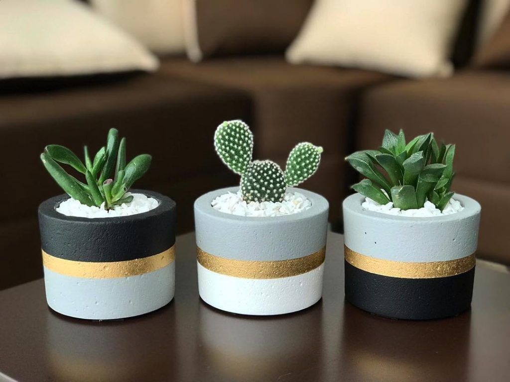 10 Beginner Mistakes when Growing Succulents https://succulentcity.com/beginner-mistakes-when-growing-succulents/ Cement Diy, Concrete Crafts, Concrete Pots, Concrete Planters, Diy Planters, Cement Garden, Painted Plant Pots, Painted Flower Pots, Painted Pebbles
