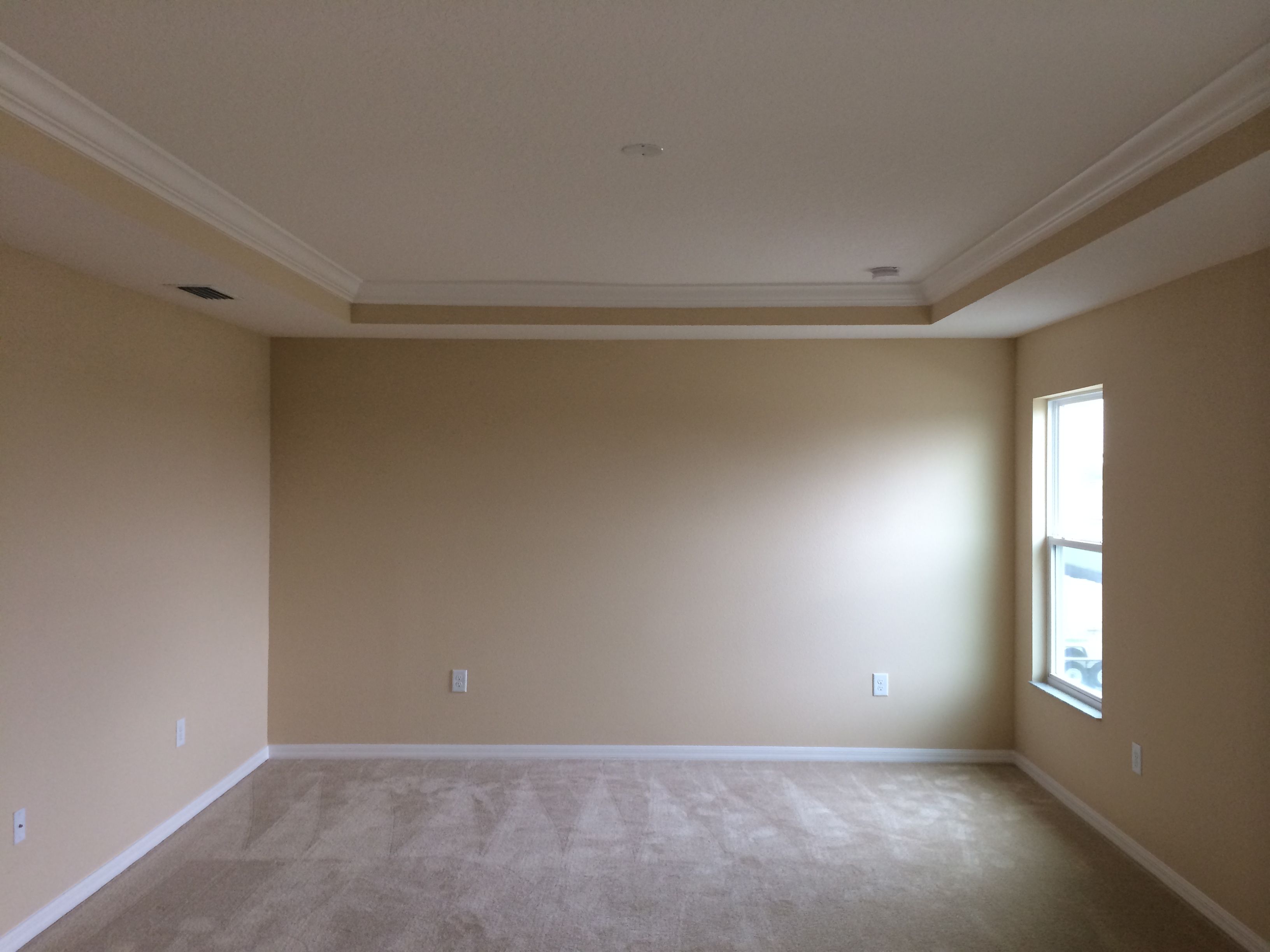 Willam Ryan Homes Tampa Juniper floor plan Tray ceiling feature