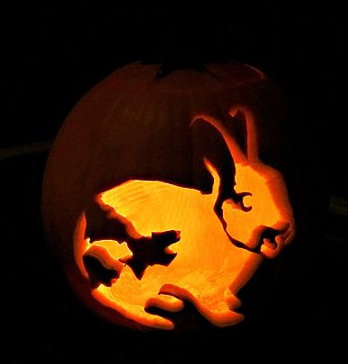 Obsessed Bunny Mom Carves Pet Rabbit Into Pumpkin Rabbit Halloween Bunny Mom Pumpkin Carving
