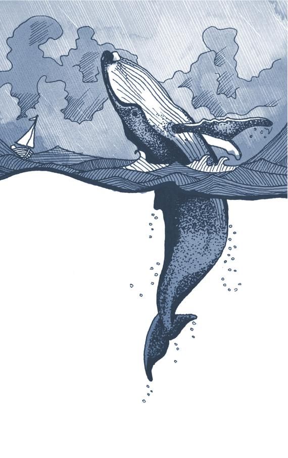 Bosse au dos de baleine violer en mer orageuse avec illustration de bateau. Wall art giclée en taille A5/A4/A3/A2. Baleine, mer, océan, observation des baleines #illustrationart