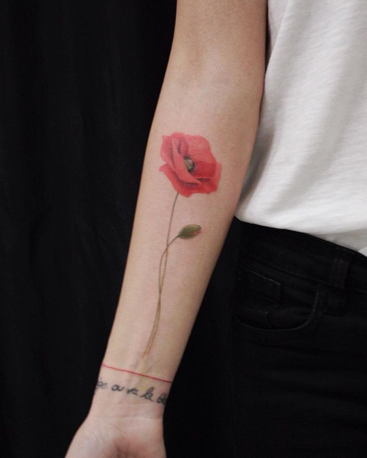 Mohnblumen Tattoo Poppy Flower Tattoo Flower Tattoo Blumen Und Graser Watercolortattoo Aquarelltattoo Mohnblumen Tattoo Haut Tattoo Mohn Blume Tattoo