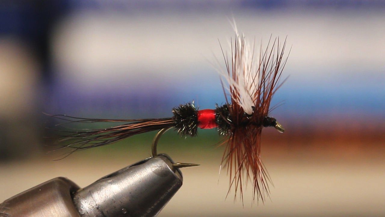 Detailed instructions for tying a Royal Wulff. Fly fishing for beginners, Fly tying, Fly