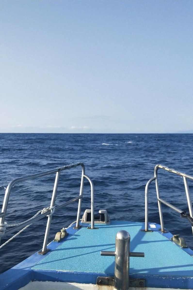 1分でクジラ出現 超最短 ホエールウォッチング 奄美大島おすすめ観光アクティビティ あまみこダイバー Playlife プレイライフ ホエールウォッチング 奄美大島 観光 1分でクジラ出現 超最短 ホエールウォッチング 奄美大島おすすめ観光アクティビティ あまみこダイバー Playlife プレイライフ ホエールウォッチング 奄美大島 観光