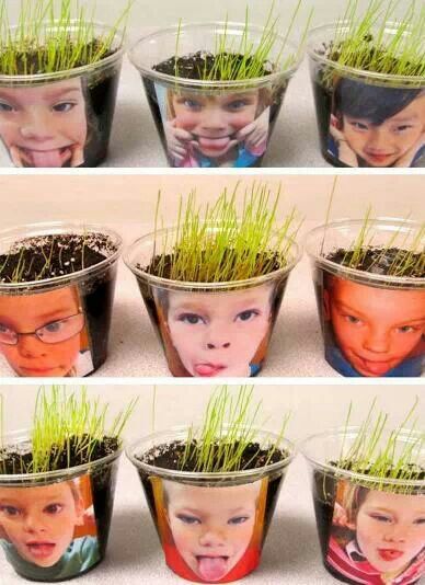 Springtime Science with Seeds | Teacher classroom, Kindergarten ...
