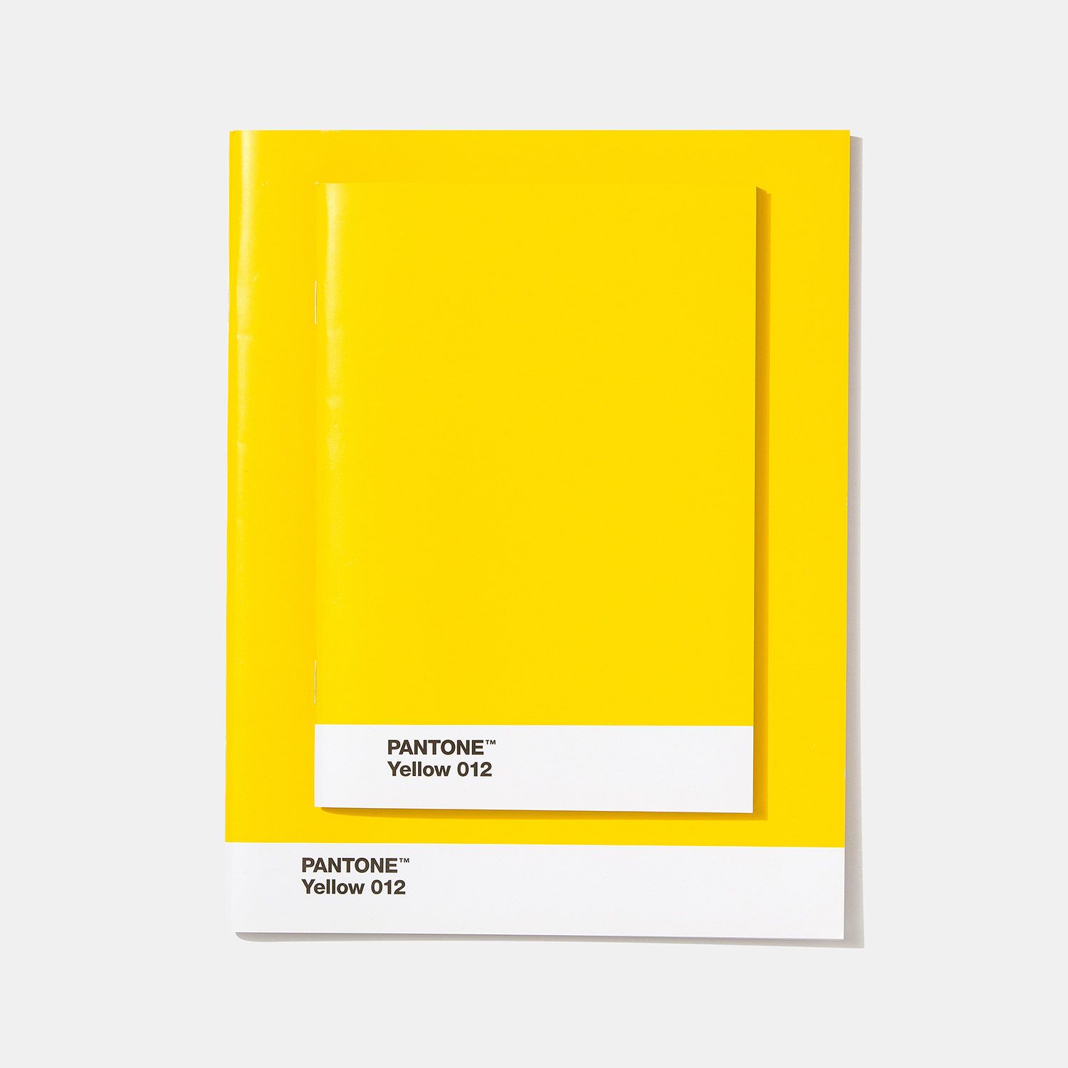 pantone notebook set in 2020 yellow brand color palette 7701 harvest gold