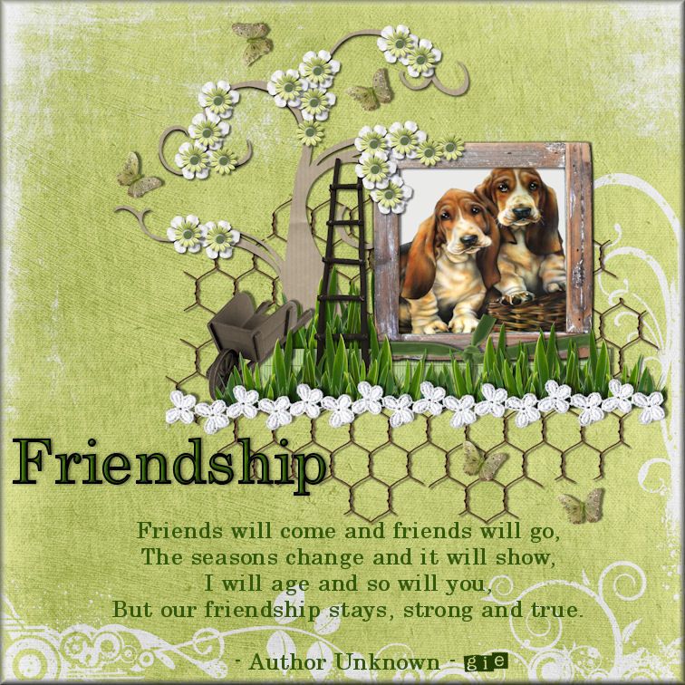friendship | Friendship, Our friendship, Changing seasons