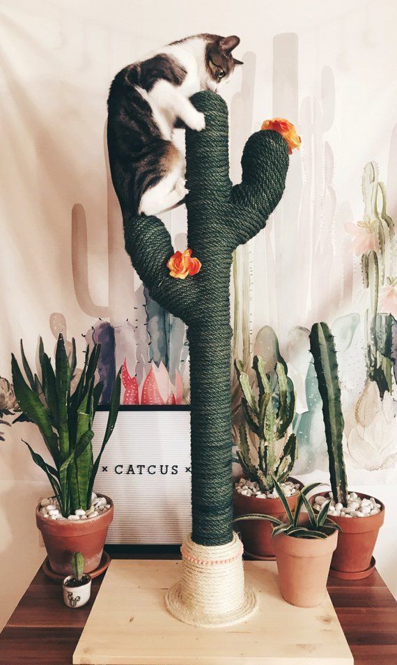 CACTUS for CATS | CATCUS | Scratching Post | Cat Tree | Boho | Cat Tower