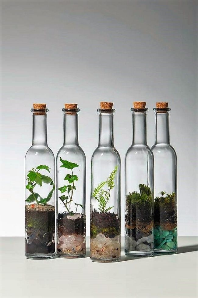 6 wunderschöne Zimmerpflanzen die man nicht töten - Gartengestaltung Ideen #indoorgardening