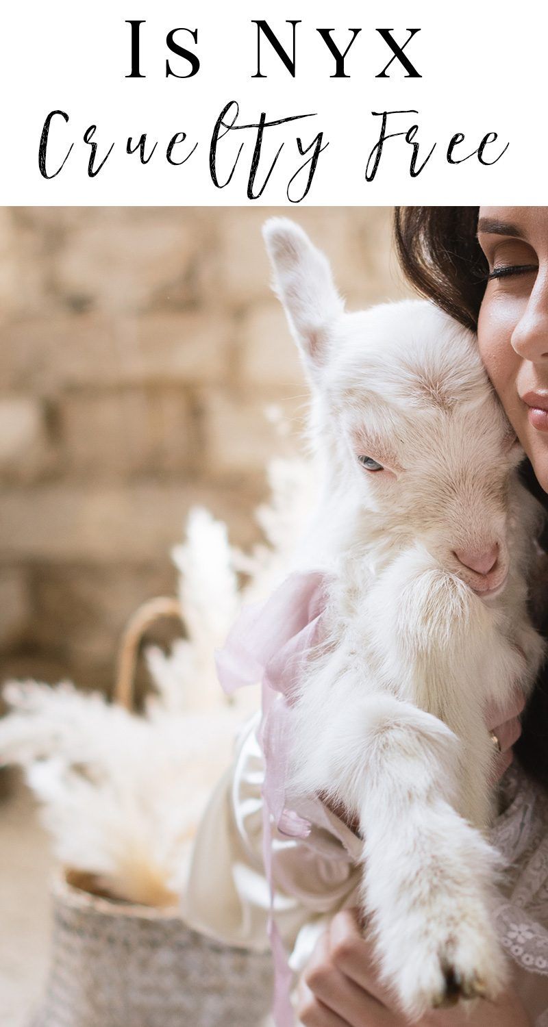 Is Kylie Cosmetics Animal Cruelty Free