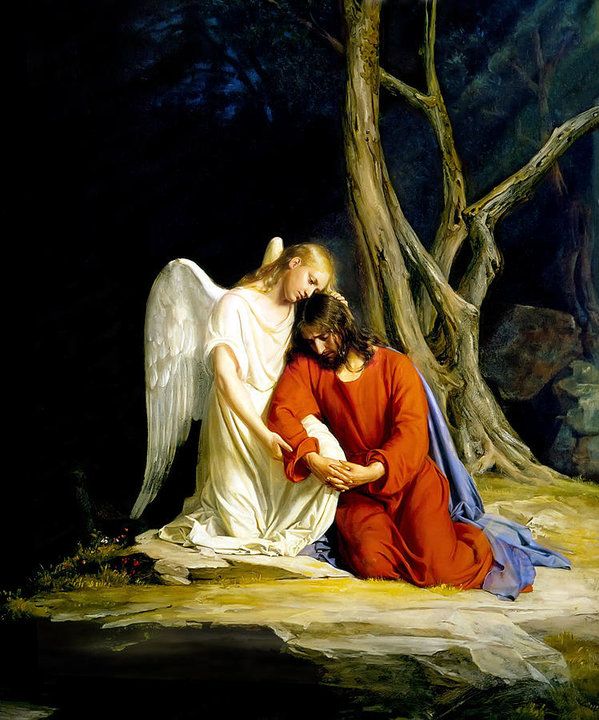 Garden Of Gethsemane, Miséricorde Divine, Divine Mercy, La Passion Du Christ, Agony In The Garden, Image Jesus, I Believe In Angels, Art Sacre, Christian Art