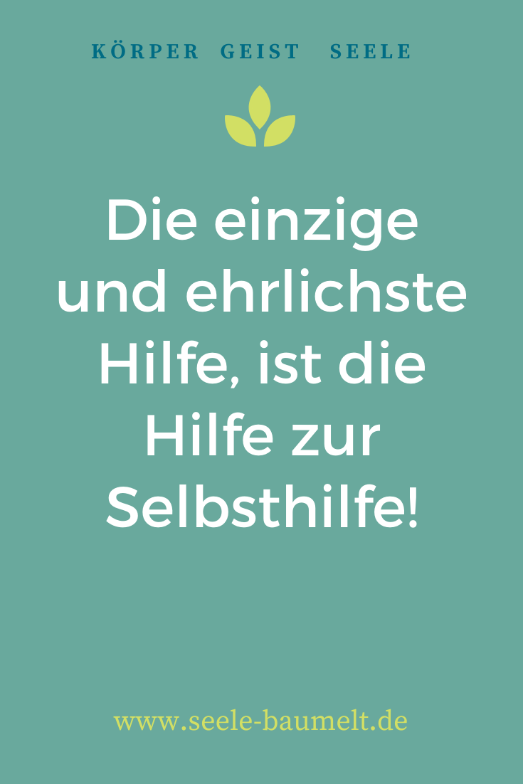 Zitty er sucht sie