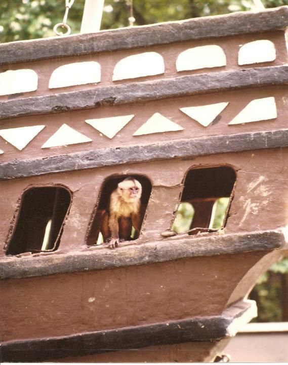 Monkey Ship Mesker Park In Evansville In Holiday World