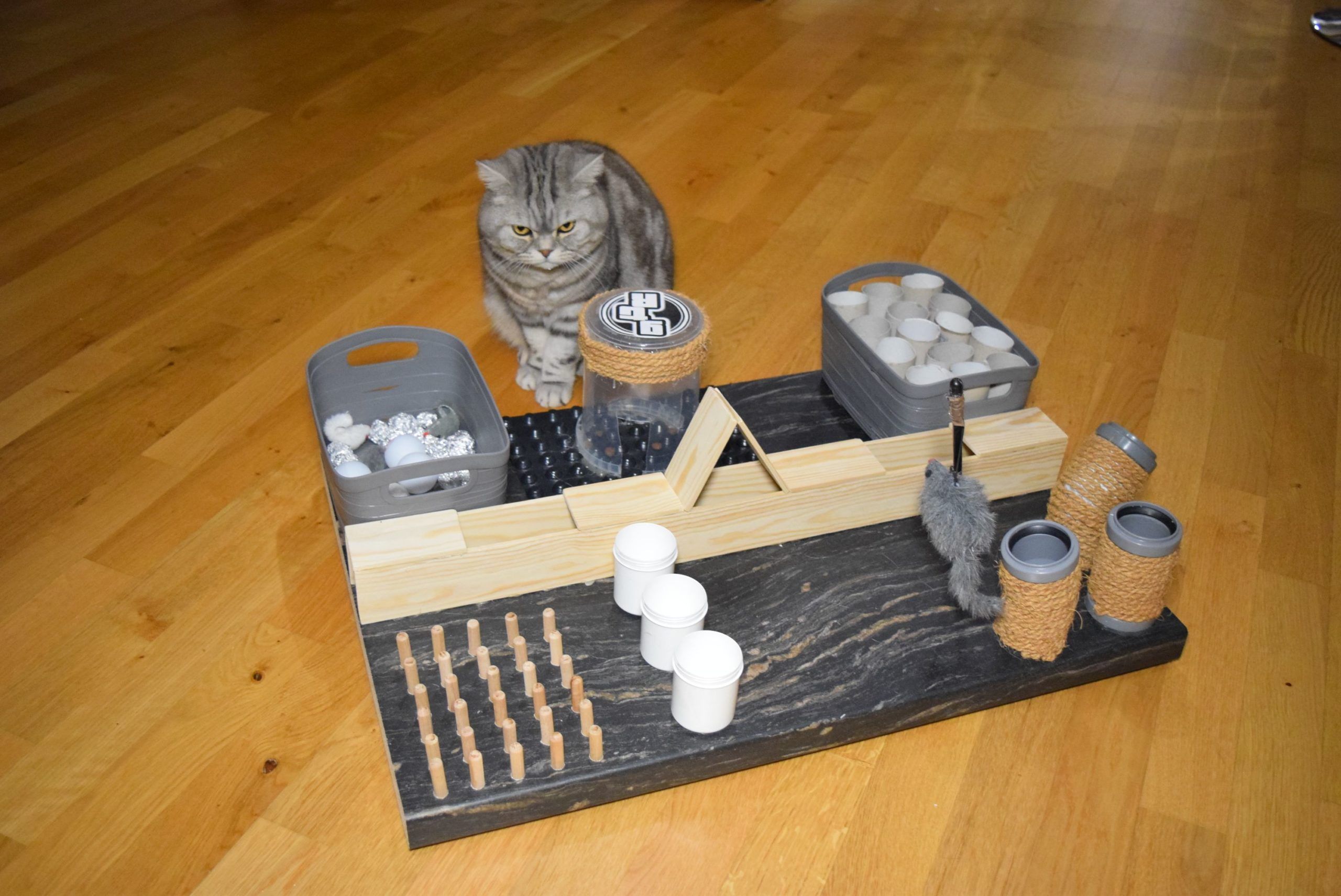Fummelbrett für Katzen / Kätzchen * Baue dein eigenes Katzenspielzeug * ...