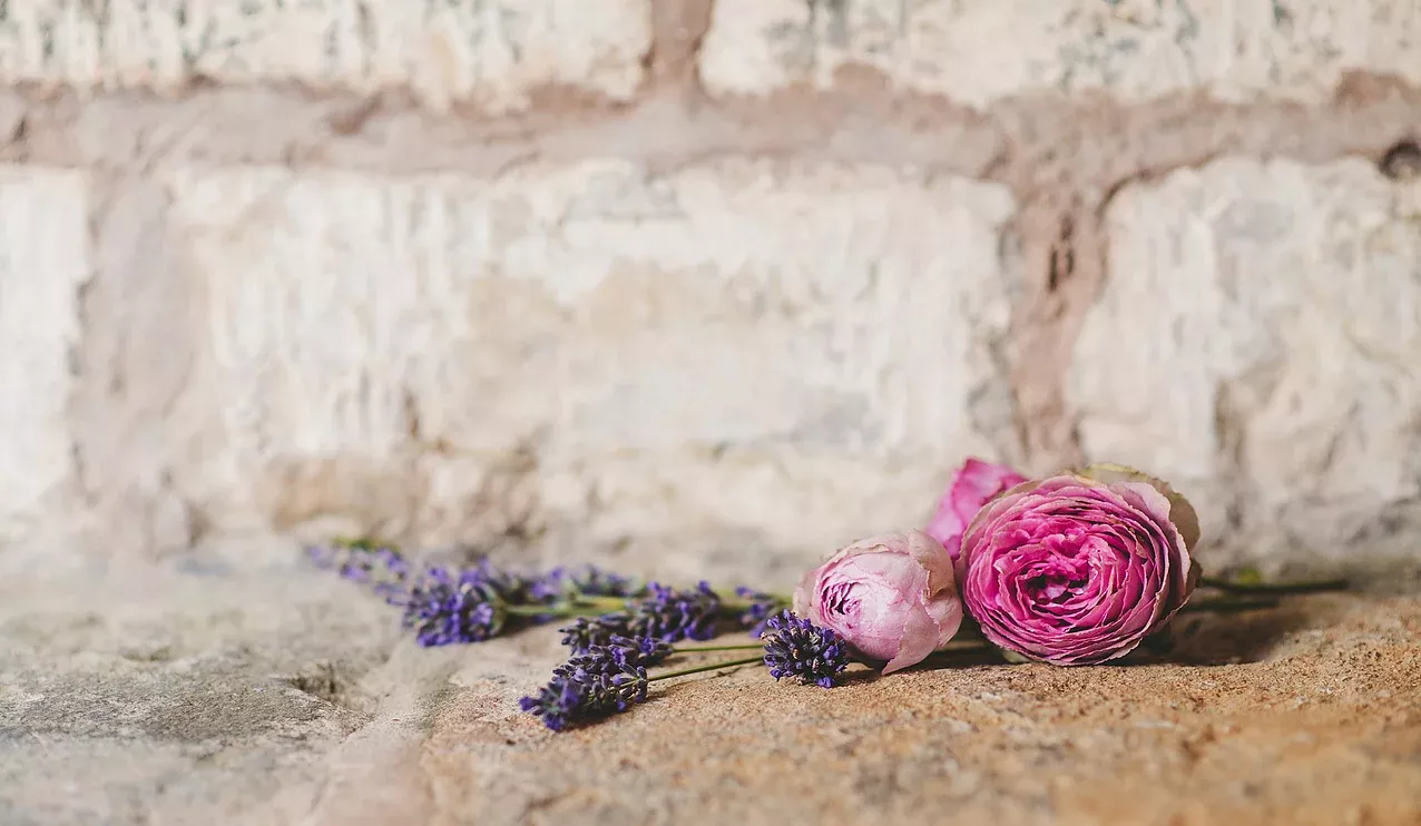 Magnificent Purple Flowers Wallpaper Backgrounds Beautiful Magnificent Purple Flowers Wallpaper Backgrounds Beautiful
