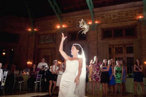 Brides Throwing Cats Is The Wedding Tumblr You Didn T Know You Needed Wedding Tumblr Wedding Meme Bride