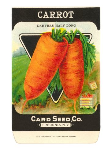 Carrot Seed Packet Premium Poster At Art Com Garden Seeds