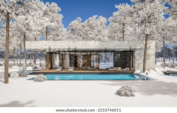 3d Rendering New Concrete House Modern: стоковая иллюстрация, 2210746011 | Shutterstock Concrete House, 3d Rendering, Modern House, Illustration, Outdoor, Pictures, Outdoors, Illustrations, Outdoor Games