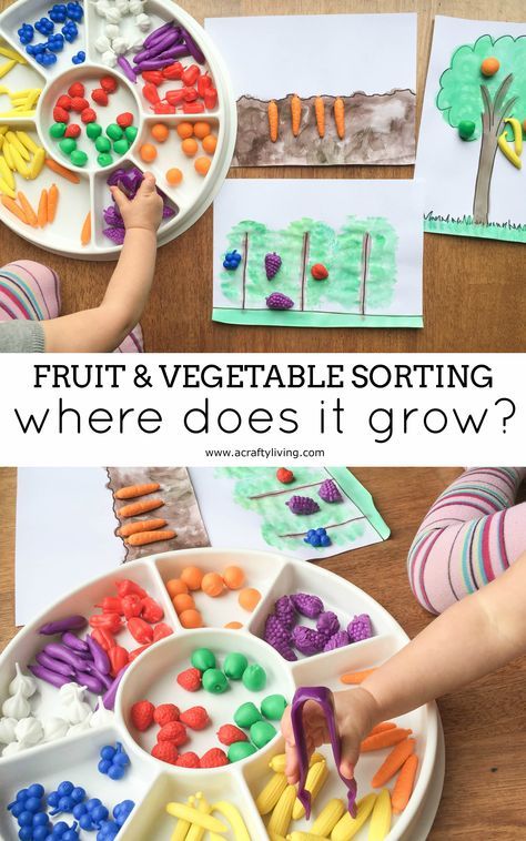 Nutritional Fun Learning Where Food Grows With Fruit Vegetable Nutritional Fun Learning Where Food Grows With Fruit Vegetable