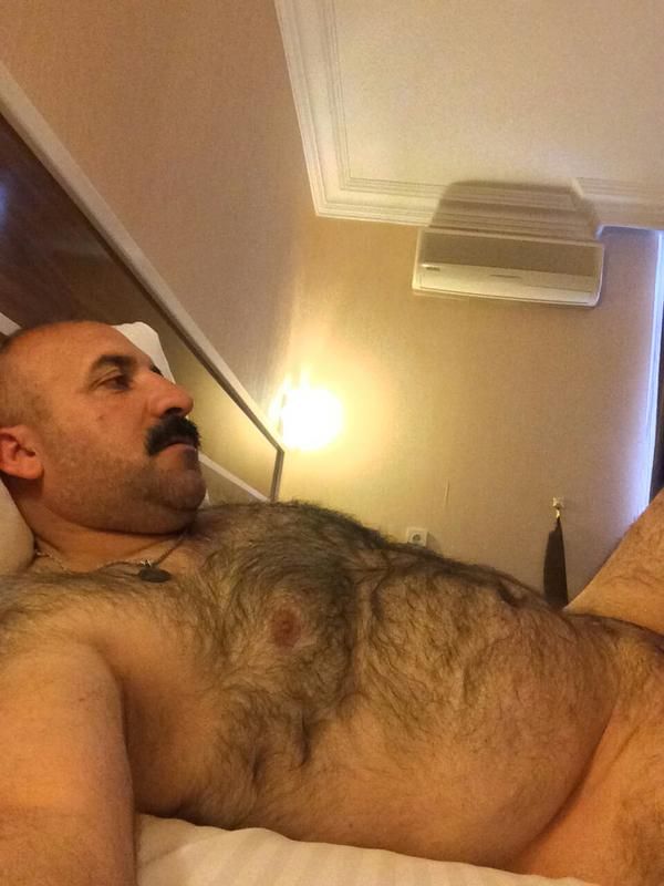 Arab gay bear