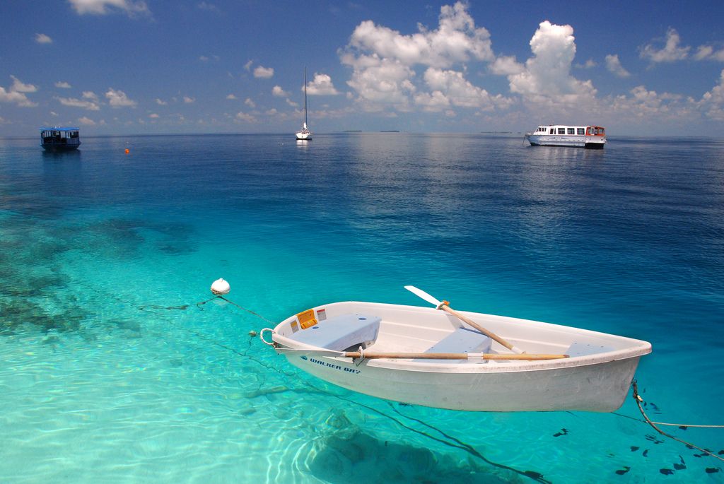 Maldives Beautiful Places To Visit, Beautiful World, Places To See, Places To Travel, Gorgeous, Beautiful Ocean, Lovely, Beautiful Beaches, Fabulous