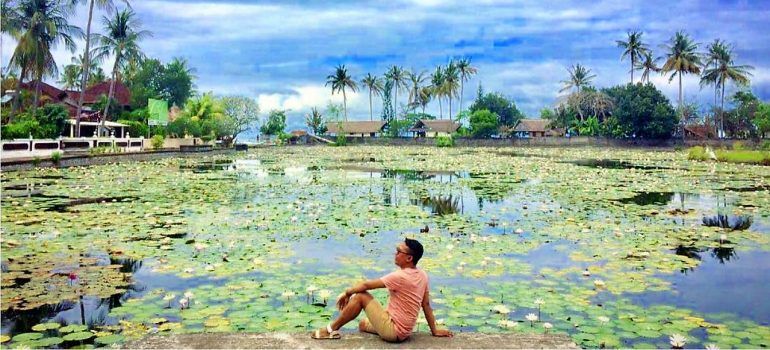 Baru 30++ Lukisan Bunga Termahal - Galeri Bunga HD