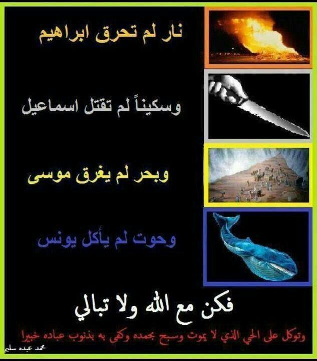 توكل على الله Islam Wisdom Qoutes