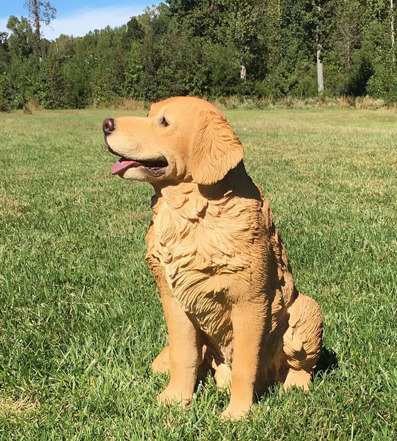Golden Retriever Sitting 21 H Animal Sculptures Dog Sculpture