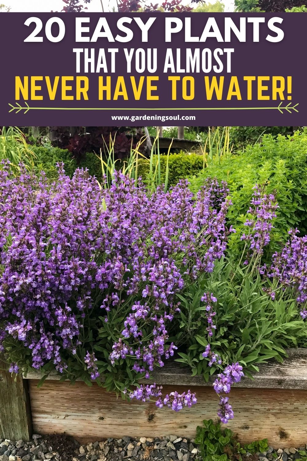 Garden Plants Easy Garden Plants Easy
