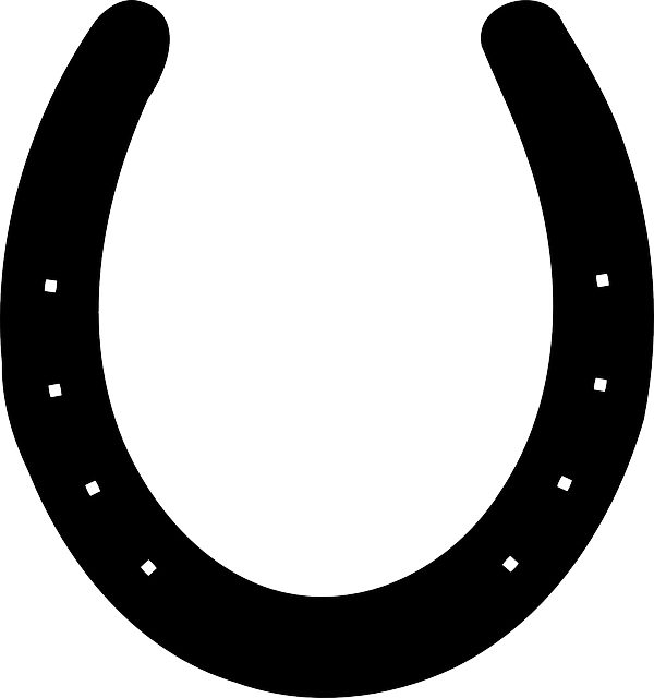 Download 11 Horseshoe Svg Ideas In 2021 Horseshoe Svg Horse Clip Art