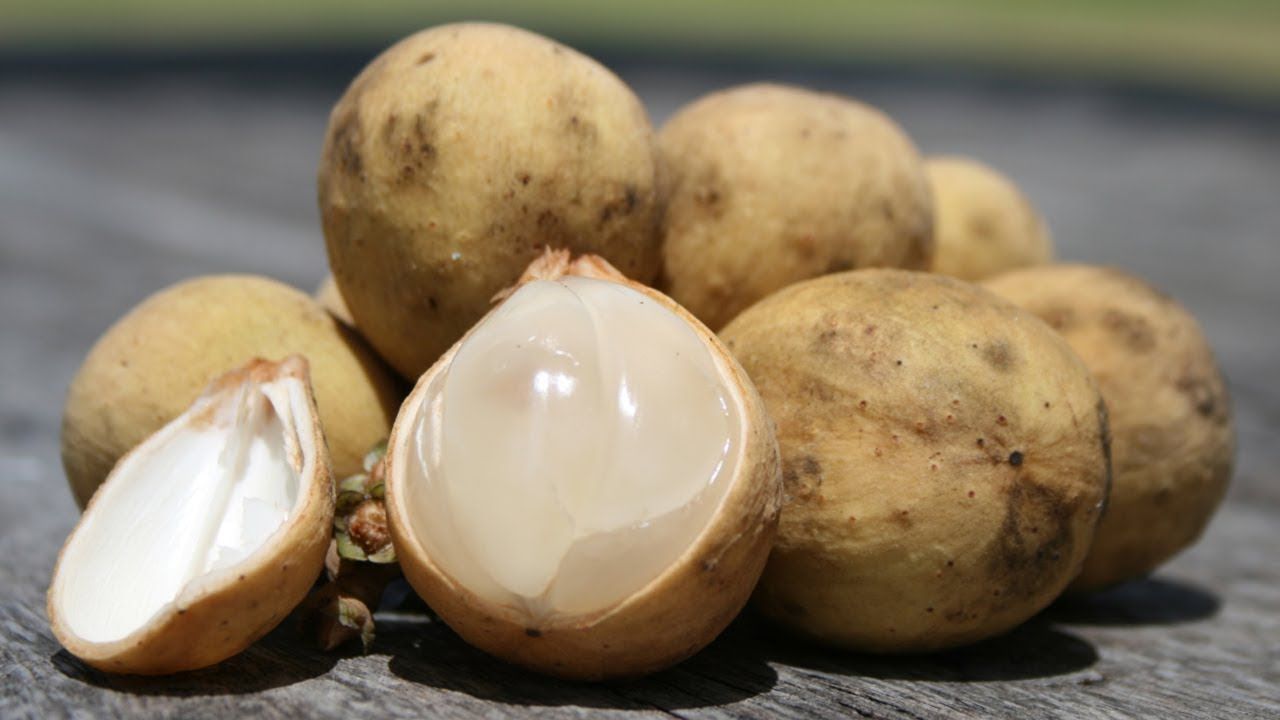 The Powerful Health Benefits Of Lanzones Fruit - YouTube | Fruit Where Can I Buy Lanzones In Usa