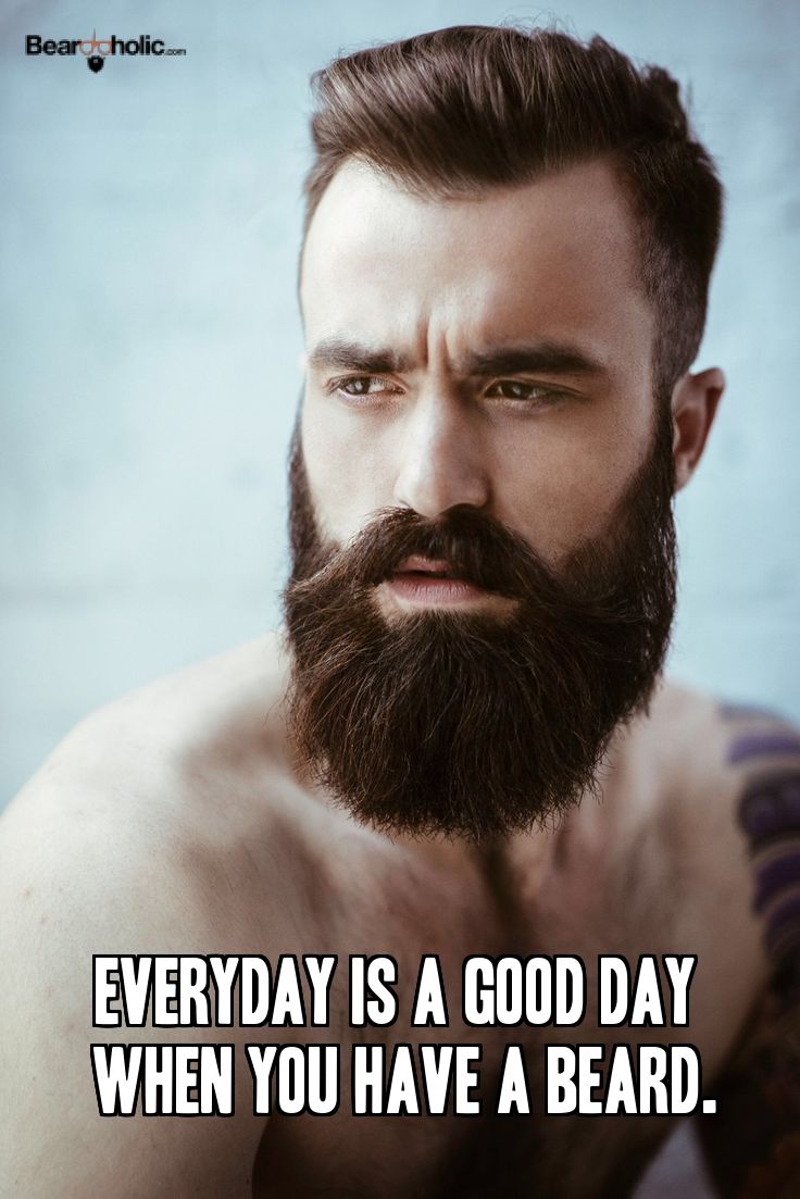 Pin On Best Beard Humor Funny Quotes And Memes