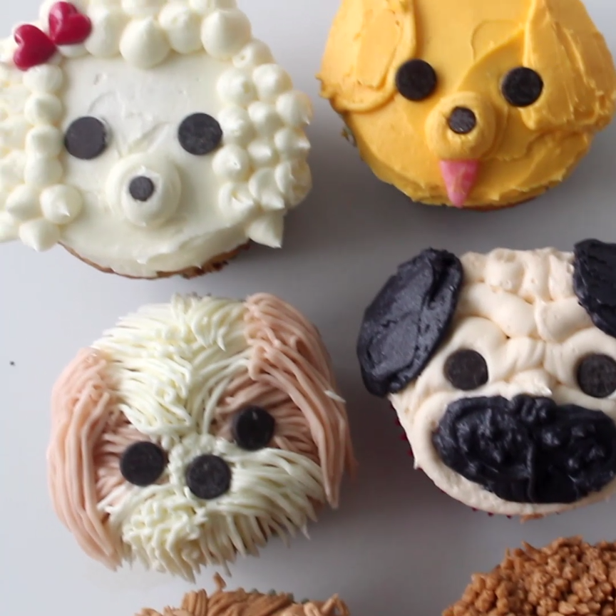 Dog Cupcakes Dog Cupcakes
