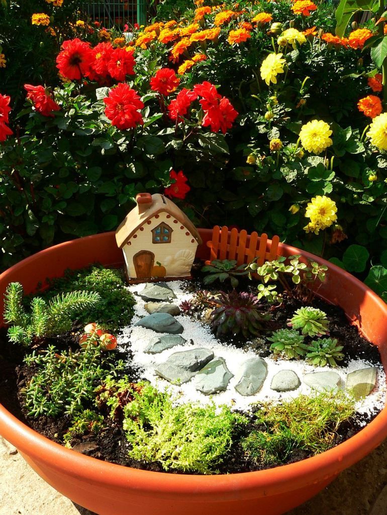 Miniatural Gardens/ gradini miniaturale/ mini gradini/ designers Lavinia Pirvu, Daniela Galani - Vegart Miniature Garden, Mini Garden, Fairy Gardens, Faeries, Brad, Beautiful Gardens, Garden Design, Deco, Interior
