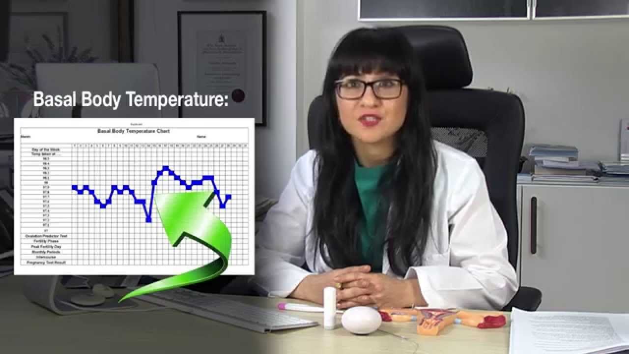 How To Get Pregnant Calculate Your Menstrual Cycle