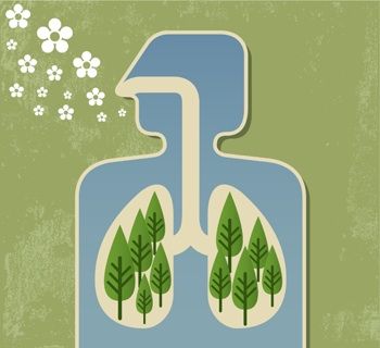 Breathe Deep: 5 Ways to Improve Your Home’s Air Quality for Better Health