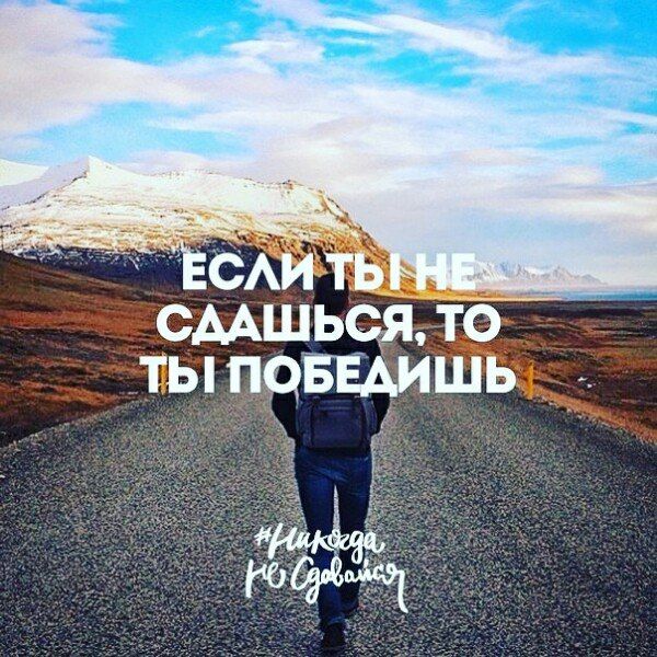 картинки не никогда не сдавайся онлайн